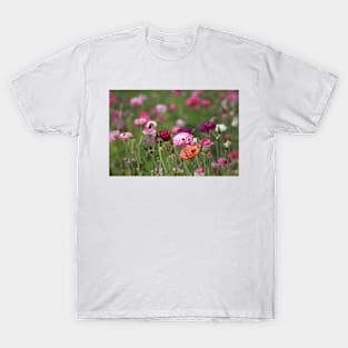 Jelly Bean Colored Ranunculus T-Shirt